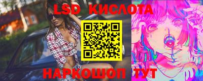прущие крисы Будённовск