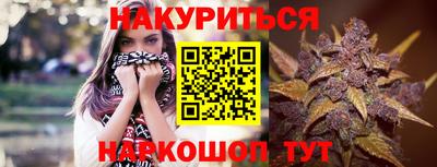 прущие крисы Будённовск