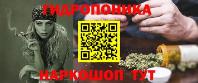прущие крисы Будённовск