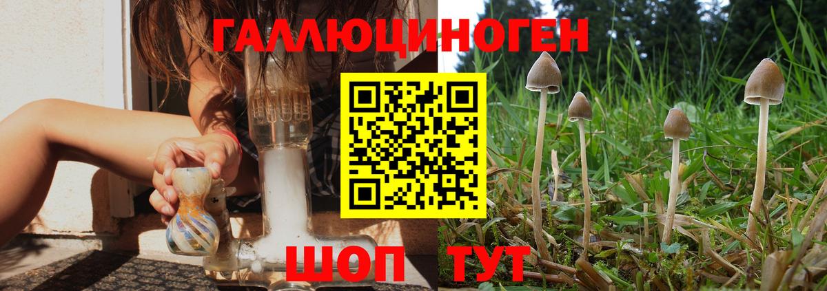 Псилоцибиновые грибы Psilocybine cubensis  Галлюциногенные грибы Magic Shrooms  Мыски  Вход с VPN 